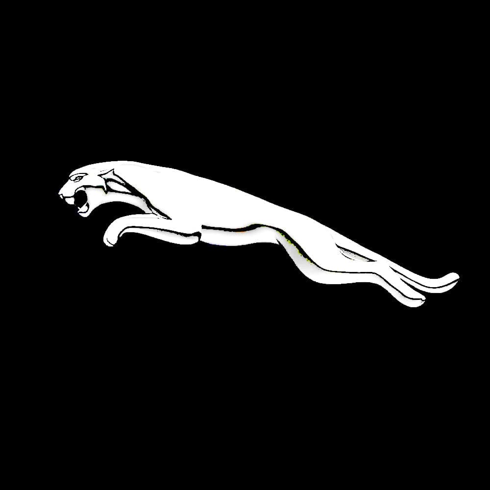 Jaguar F-Type X152 Premium Door Puddle Lights Various Designs 2013-2024
